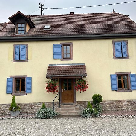 Gite La Maison De Jules Muntzenheim Exterior photo