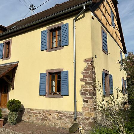 Gite La Maison De Jules Muntzenheim Exterior photo